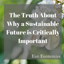 The Truth About Why a Sustainable Future is Critically Important